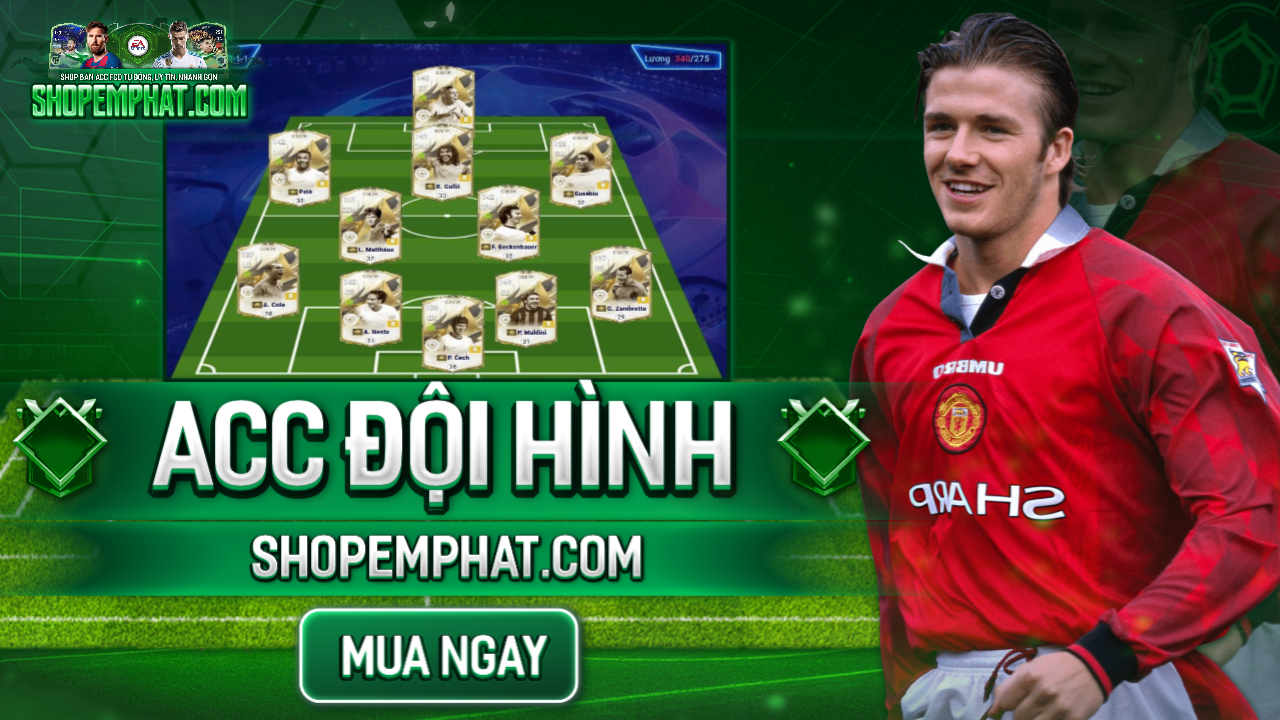 ACC ĐỘI HÌNH